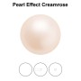 0191-Preciosa Nacre Pearl Round-Semi Maxima Creamrose 10mm