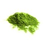 EPO13 - Pigment pudra pentru rasina, jungle green 12.5gr - 1 buc