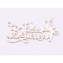 E1469 N- Link argint 925 "Believe fairy" 16.5mm 1 buc