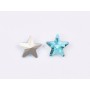 P4593-Cristal Star Fancy Stone, 10mm, Aquamarine Silver Foiled - 1 buc