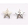 P4614-Cristal Star Fancy Stone, 10mm, Crystal Silver Patina - 1 buc