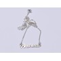 Lantisor Argint 925 cu Nume Personalizat - FAST001