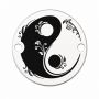 Charm Yin Yang argint 925, pandantiv echilibru