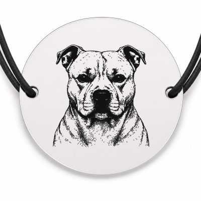 Brățară argint 925 · bănuț portret de Amstaff
