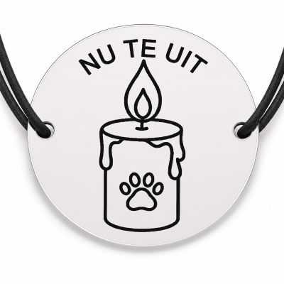 Brățară argint 925 · bănuț lumânare cu labă