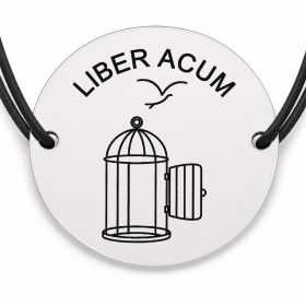 Brățară argint 925 · bănuț colivie deschisă