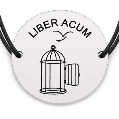 Brățară argint 925 · bănuț colivie deschisă