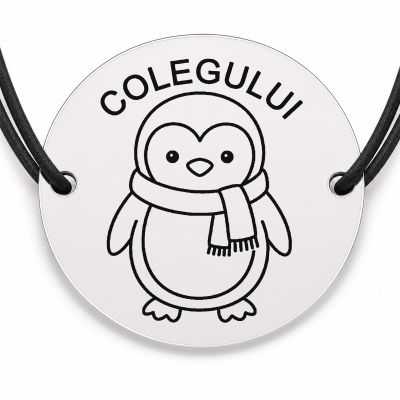 Brățară argint 925 · bănuț pinguin cu fular