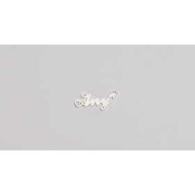 Nume decupate din argint din stoc - Any