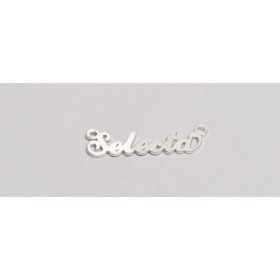 Nume decupate din argint din stoc - Selecta