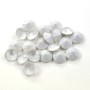 P1322-Swarovski Elements 1088 Crystal Powder Grey Unfoiled SS39 8mm